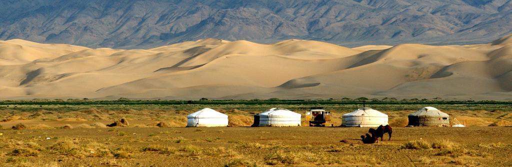 Majestic Gobi Tour Operator And Guest House Ułan Bator Zewnętrze zdjęcie
